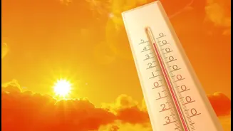 “Morning Se Hi Chakkar Aa Raha Hai”: Why Doctors Suggest BP Patients to Change Daily Habits During Heatwaves