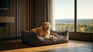Indian Travellers Are Booking Stays For Their Pets