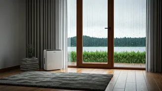 Easy Home Care Hacks For Wet Weather