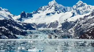 What the Petermann Glacier Break Means and What It Does Not