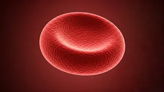 B12 Deficiency: Signs, Risks, & What You Need