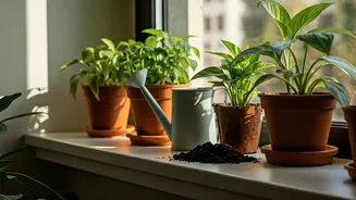 Tiny Flats Need A Plant-Parent Starter Kit