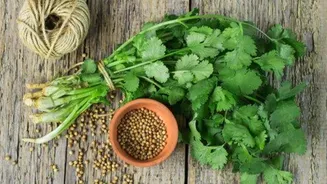 5 reasons to start eating coriander daily