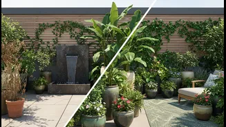 Hot Terraces Need A Green Cooling Plan