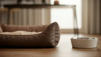 Stylish Pet Homes Need Practical Material Choices