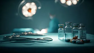 Indian Businesses: Q2 Performance Highlights