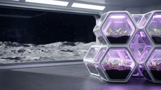 Why Growing Food on the Moon Would Be a Major Engineering Challenge