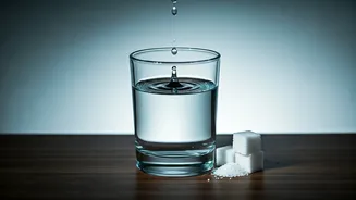 Sweet Deception: How Your Mind Tricks You into Enjoying Artificial Sweeteners