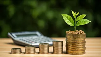 PPF Calculator: Understanding Your Savings Journey