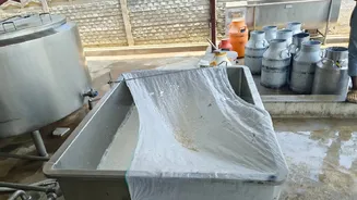 Food safety officials seize milk and ghee worth Rs 7.78 lakh in Hyderabad