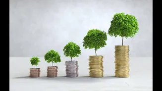 10 Cara Investasi Reksa Dana untuk Pemula agar Percaya Diri Memulai