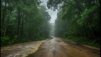 Rain Forecasts Matter More When The Itinerary Depends On Roads And Trails