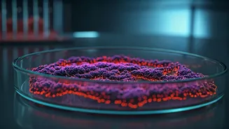 Alarming Indian Fever Study: 1 in 3 Patients Reveal Serious Infections