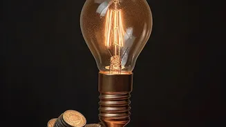 Short- and Long-Term FDs Can React Differently to the Same Policy Decision
