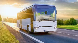 Why buses can be useful for short-distance travel when flights become expensive