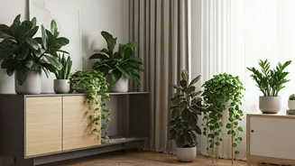 Pinterest Approved: Indoor Plants Dominate Home Décor Inspiration Boards