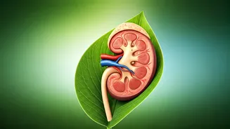 World Kidney Day 2026: Young Professionals' Guide to Kidney Health and Sustainability