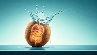 30 Days of Coconut Water: Unveiling the Subtle Yet Powerful Changes in Your Body