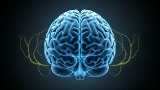 Sleep Smarter: Avoid Pre-Bedtime Gut-Brain Axis Disruptors