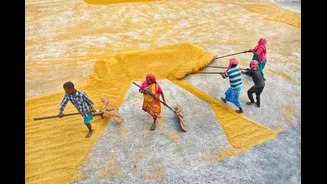 World Bank Highlights AI’s Transformative Impact on India