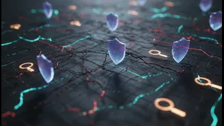 Open networks need moderation, discovery and safety tools: a key limit for Algorithm-Free Social Feeds