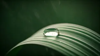 Humid Days Make Smart Hydration More Important Than Ever