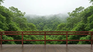 Experience Secluded Honeymoon Bliss in Misty Mahabaleshwar Cloud Forests