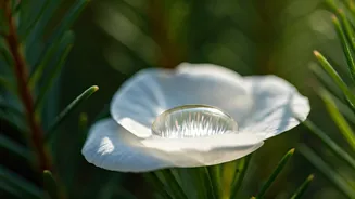 7 Expert Anti-Ageing Secrets: Embrace Timeless Skin Resilience