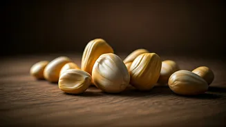 Jackfruit Seeds Are A Pantry Surprise Waiting
