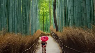 Crowd-Weary Travellers Can Swap These Five Japanese Hotspots