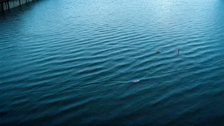 Mumbai Waterlogging Season Needs Less Drama, More Prep