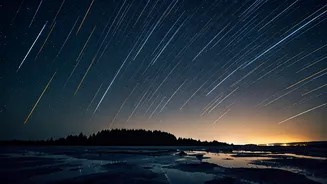 Kids And Parents Are Chasing Meteor Showers