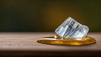 Fitkari & Coconut Oil: Unveiling the Scalp Health Secret for Fuller-Looking Hair