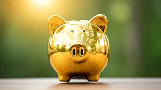 Automate Fixed Salary Percentages Into Safe Public Provident Funds