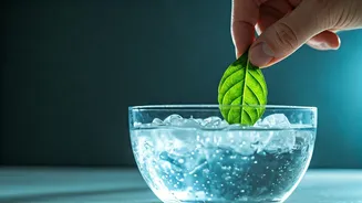 Jacqueline Fernandez's Top 5 Wellness Rituals for a Balanced Life