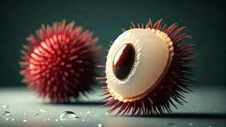 Rambutan: Your Tropical Hydration Hero for a Refreshing Boost