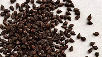 Tartary buckwheat: Why it's good for your health