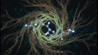 Exercise And Weight-Loss Medication Research Connects Exercise, Liraglutide And Vascular Biomarkers With How Weight-Loss Success Is Measured