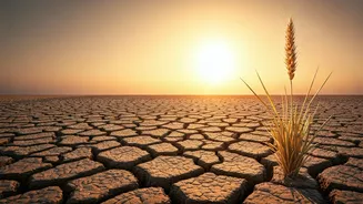 July Weather Expectations Come With Consequences