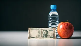 Bengaluru Budget Challenge: Can You Conquer the City on Just ₹500?