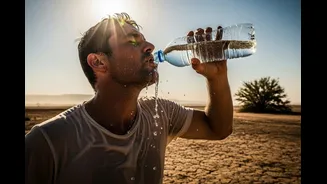 2025 Set To Be Among Top 3 Warmest Years Ever Recorded: WMO; UN Chief Urges Rapid Action