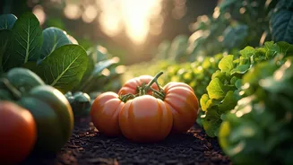 Summer Vegetable Gardening Is Getting Practical Again