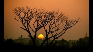 Bengaluru records 4°C above normal temperatures as heat intensifies