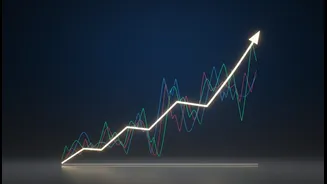 Currency Risk Management Becomes A Boardroom Priority After An 11% Slide