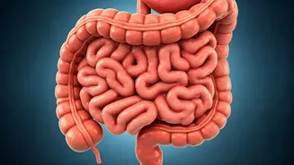 Infections And Digestion Trouble Are The Rainy Villains