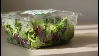 Why Nutrition Experts Tag Raw Lettuce Assemblies As High Risk Food Units This July