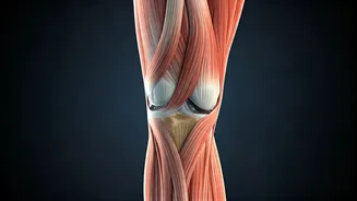 Why Youth Are Swapping Intense Lifting For Joint Mobility