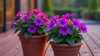 Rainy Weather Makes These Balcony Flowering Plants Easier To Grow Than Ever