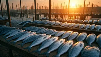 Rural India's Economic Boost: Fisheries and Livestock in Budget 2026-27