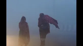 IMD Warns Of Cold Wave, Dense Fog In North, Central India: Check Advisory